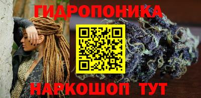 твердый Гусев