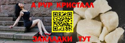 твердый Гусев