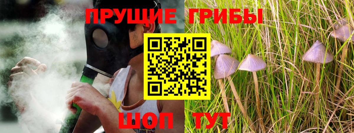 Псилоцибиновые грибы Magic Shrooms  Вход с VPN  Ноябрьск 